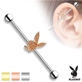 Industrial piercing - Playboy PIN00050