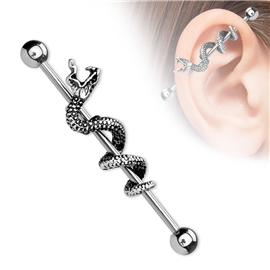 Industrial piercing - had PIN00053