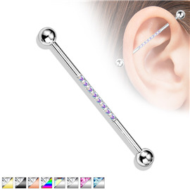 Industrial piercing PIN00065